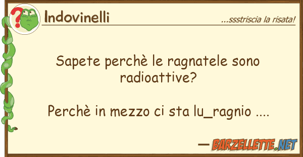 Indovinelli sapete perchè ragnatele sono radioat
