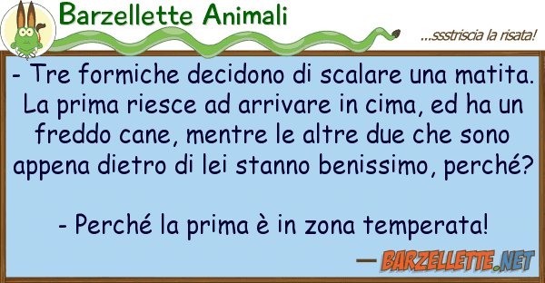 Barzellette Animali - tre formiche decidono scalare m