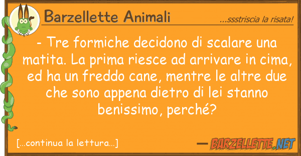 Barzellette Animali - tre formiche decidono scalare m