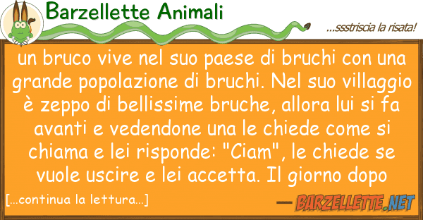 Barzellette Animali bruco vive paese bruchi co