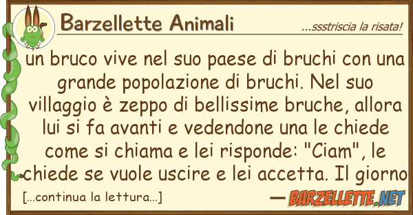 Barzellette Animali bruco vive paese bruchi co