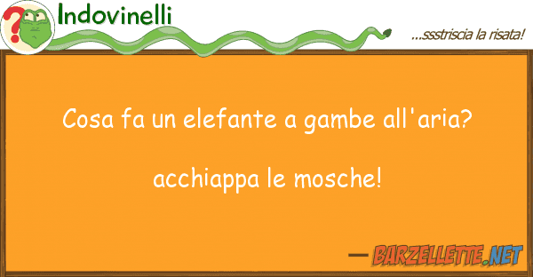 Indovinelli cosa fa elefante gambe all'aria?