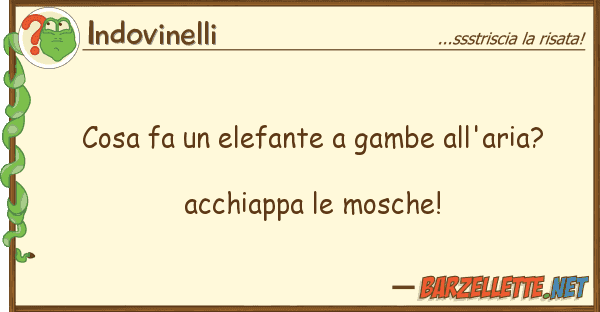 Indovinelli cosa fa elefante gambe all'aria?