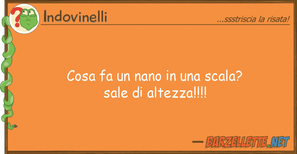 Indovinelli cosa fa nano scala? sale
