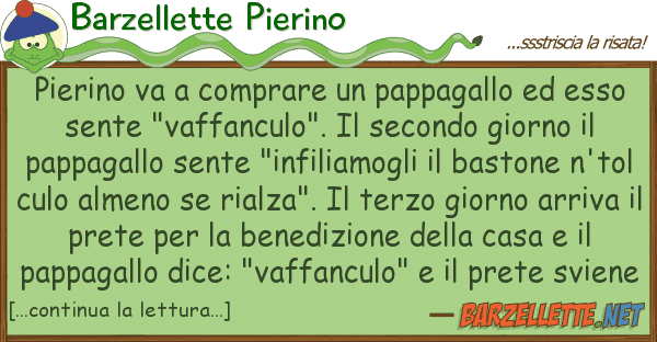 Barzellette Pierino pierino va comprare pappagallo