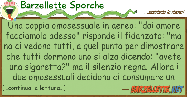 Barzellette Sporche coppia omosessuale aereo: "dai am