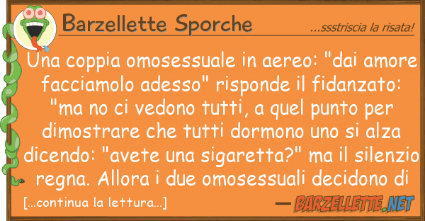 Barzellette Sporche coppia omosessuale aereo: "dai am