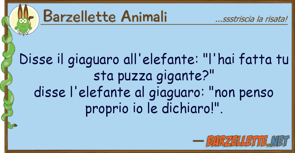 Barzellette Animali disse giaguaro all'elefante: "l'hai f