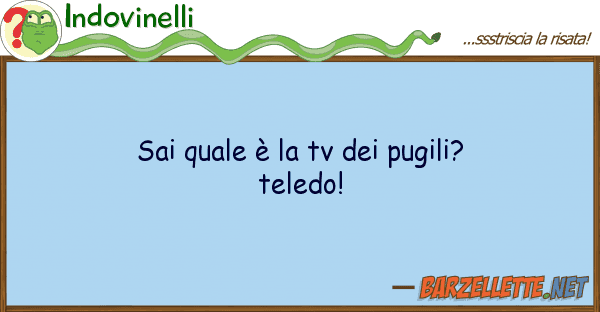 Indovinelli sai è tv pugili? teledo!