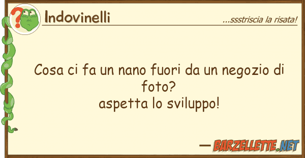 Indovinelli cosa fa nano fuori negozio d