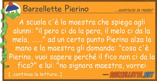 Barzellette Pierino scuola c'è maestra spiega