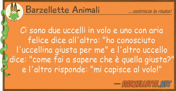 Barzellette Animali sono due uccelli volo ar