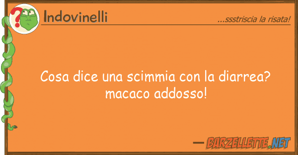 Indovinelli cosa dice scimmia diarrea?