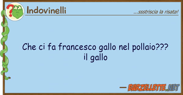 Indovinelli fa francesco gallo pollaio???