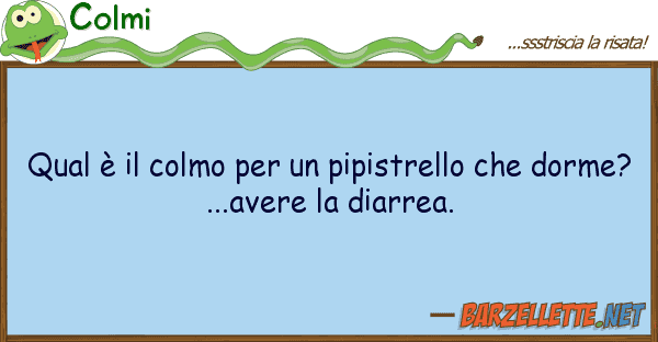 Colmi qual è colmo pipistrello