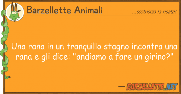 Barzellette Animali rana tranquillo stagno incontr