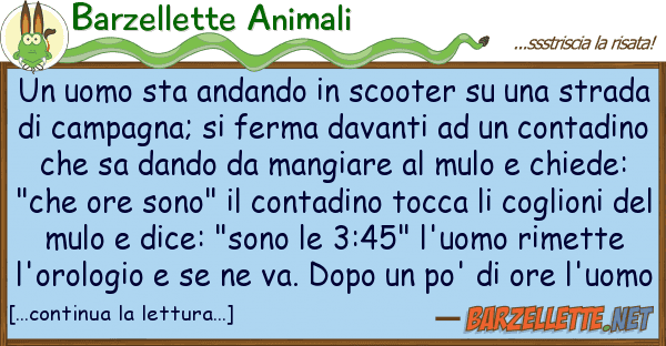 Barzellette Animali uomo sta andando scooter st