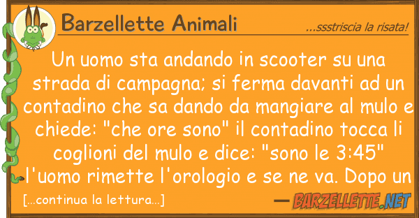 Barzellette Animali uomo sta andando scooter st