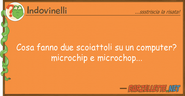 Indovinelli cosa fanno due scoiattoli computer