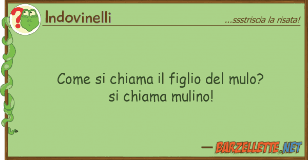 Indovinelli chiama figlio mulo? ch
