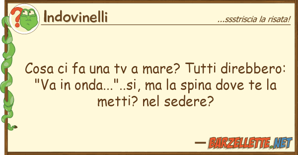 Indovinelli cosa fa tv mare? direbber
