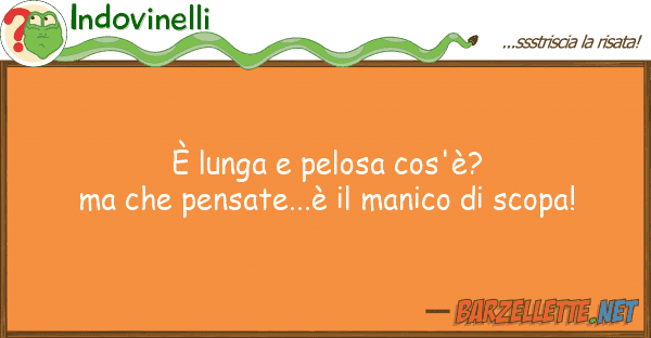 Indovinelli è lunga pelosa cos'è? pensate
