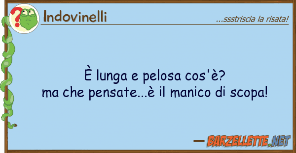 Indovinelli è lunga pelosa cos'è? pensate