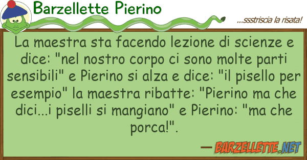 Barzellette Pierino maestra sta facendo lezione scienz