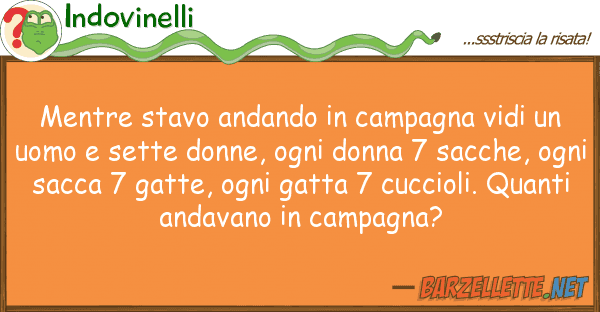 Indovinelli mentre stavo andando campagna vidi