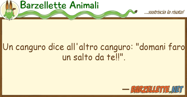 Barzellette Animali canguro dice all'altro canguro: "doma