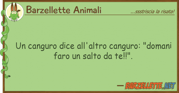 Barzellette Animali canguro dice all'altro canguro: "doma