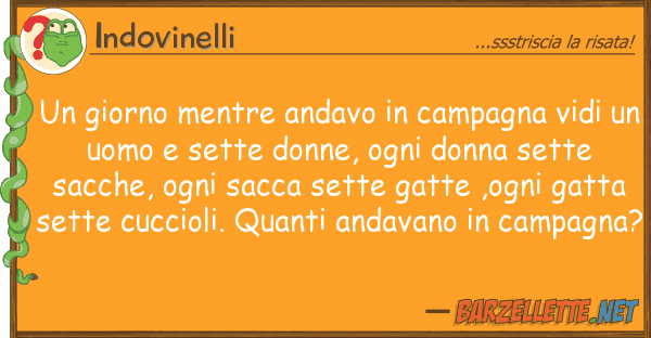 Indovinelli giorno mentre andavo campagna vidi