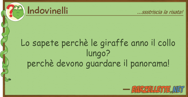 Indovinelli sapete perchè giraffe anno