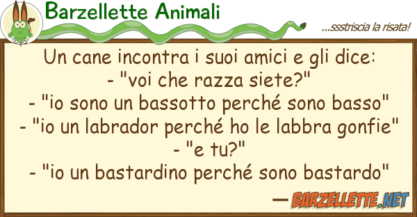 Barzellette Animali cane incontra amici dice