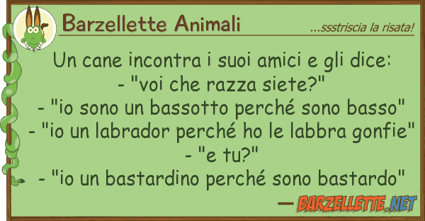 Barzellette Animali cane incontra amici dice