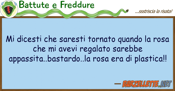 Battute e Freddure dicesti saresti tornato quando