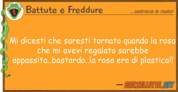 Battute e Freddure dicesti saresti tornato quando