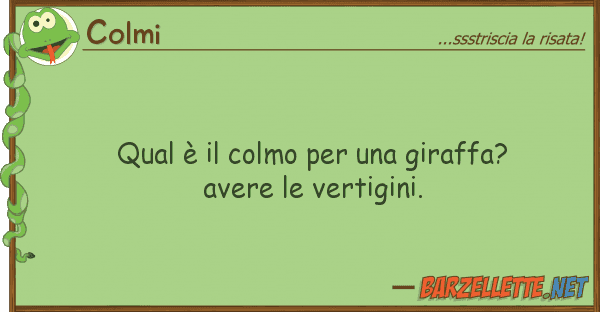 Colmi qual è colmo giraffa? avere