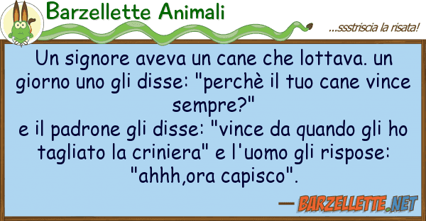 Barzellette Animali signore aveva cane lottava.