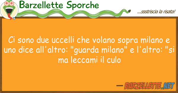 Barzellette Sporche sono due uccelli volano sopra mil