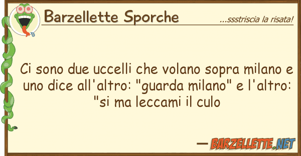 Barzellette Sporche sono due uccelli volano sopra mil