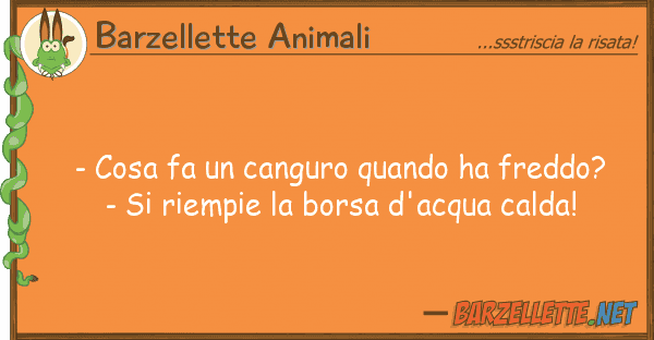 Barzellette Animali - cosa fa canguro quando ha freddo?