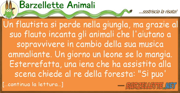 Barzellette Animali flautista perde giungla,
