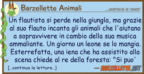 Barzellette Animali flautista perde giungla,