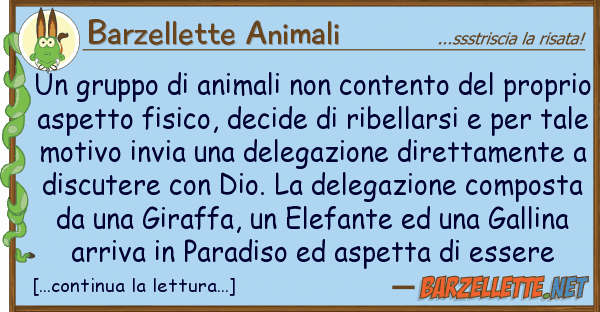 Barzellette Animali gruppo animali contento pr