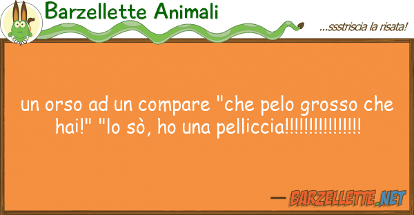 Barzellette Animali orso compare "che pelo grosso