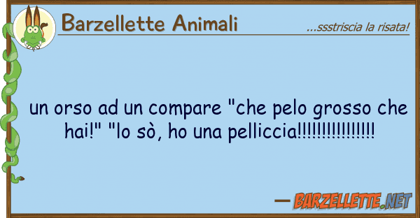 Barzellette Animali orso compare "che pelo grosso