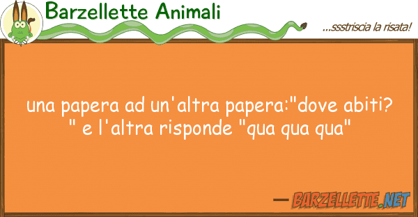 Barzellette Animali papera un'altra papera:"dove abit