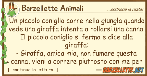 Barzellette Animali piccolo coniglio corre giungla
