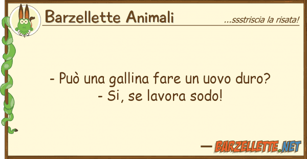 Barzellette Animali - può gallina fare uovo duro? -